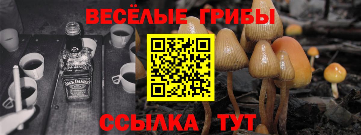 Псилоцибиновые грибы Magic Shrooms  Вход с VPN  Самара 
